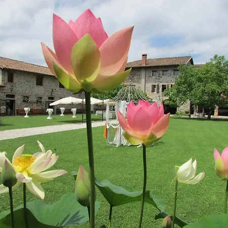 Il Vagabondo Farm stay